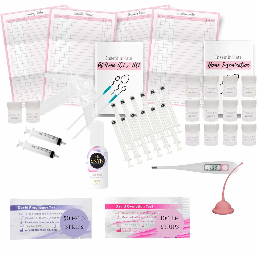 What is at home insemination inseminmate